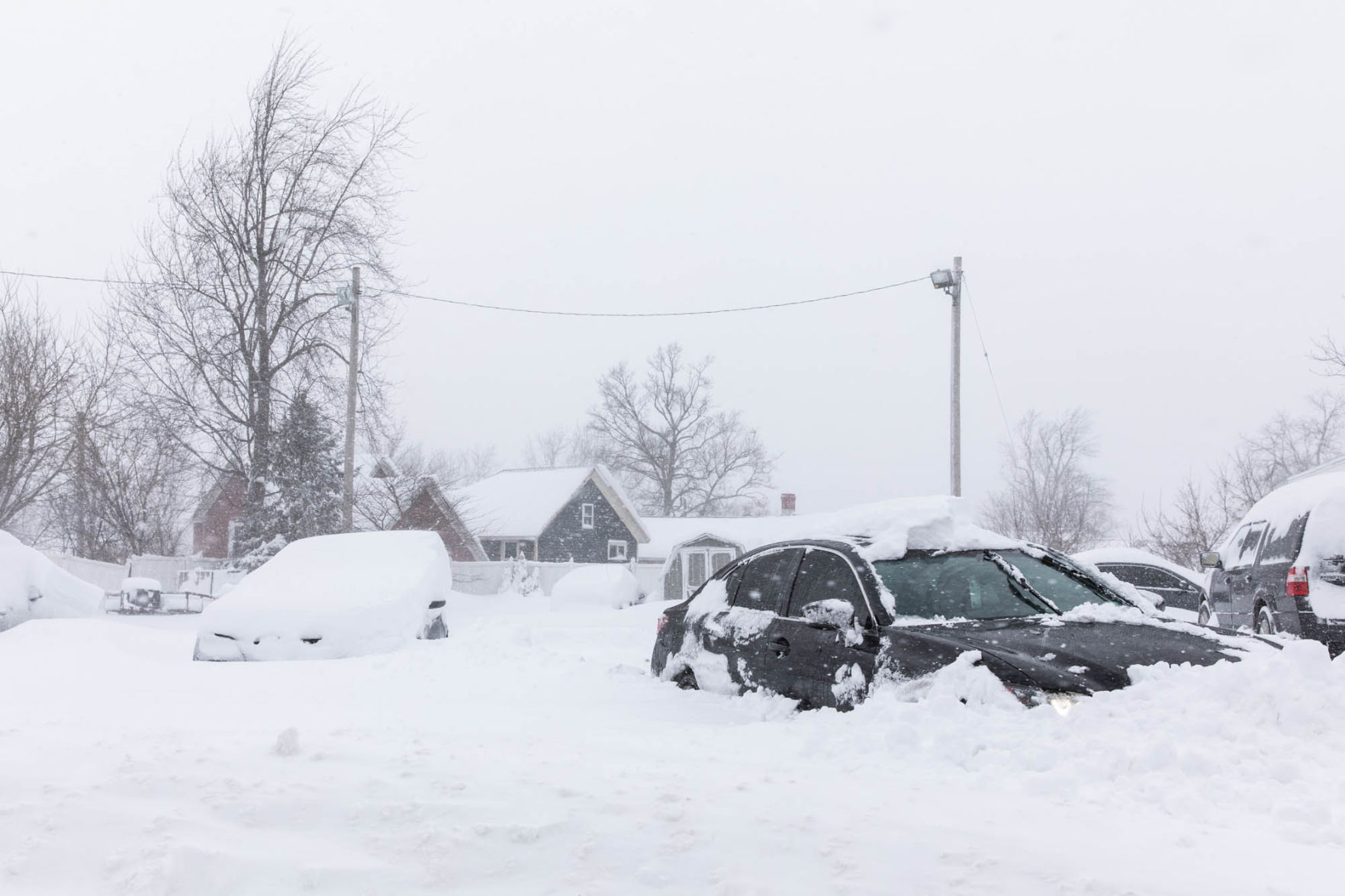 0229_wdj_snow_SS9.JPG